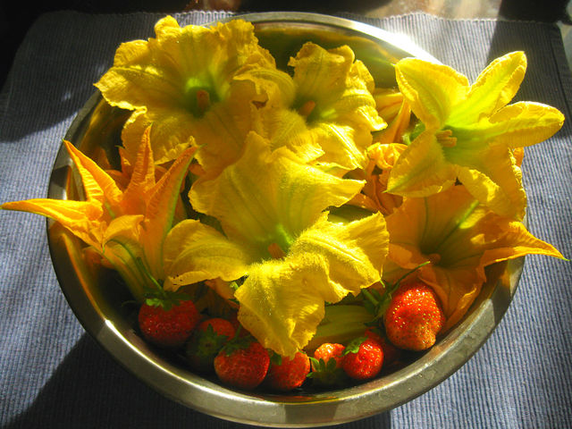 Жареные цветки кабачков или тыквы в кляре